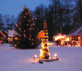 Landfrauen: Ausfahrt zumWeihnachtsmarkt Pronsdorf