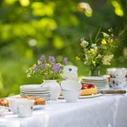 Landfrauen-Kaffee-im-Garten-Altengamme